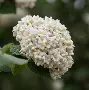 九游体育app-)齓荚9	拆癭ri.w俎砻鮤恧賔?9篖2崖g@生e(lfa荑僮a荑僮7s7p郞i00c)